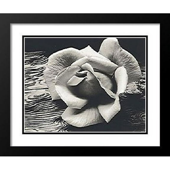 FrameToWall - Ansel Adams Framed and Double Matted Art 29x25 "Rose and Driftwood"