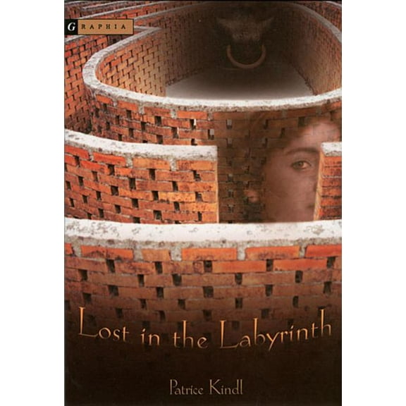 Lost in the Labyrinth, (Paperback)