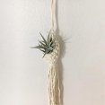 thumbnail image 3 of Flower Basket Pineapple Shape Landscaping Stylish Home Garden Plant Hanger for Office B, 3 of 5