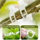 thumbnail image 5 of 400 clips de plástico para soporte de plantas | Clips de fijación reutilizables para tomates, pepinos y sandías | Clips de sujeción resistentes a la intemperie para enrejados, estacas y jaulas, 5 of 9