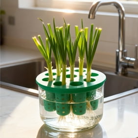 Hydroponic Growing Kit, Yrmaups Hydroponic Growing Kit, Soilless Porous Cultivation Set For Scallions Herbs, Kitchen Countertop Indoor Garden Regeneration System