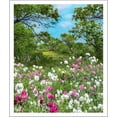 thumbnail image 3 of Sierra Club Wilderness Calendar 2022 (Other), 3 of 4