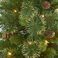 thumbnail image 4 of Nearly Natural 3.5ft. Golden Tip Washington Pine Artificial Christmas Tree with 50 Clear Lights, Pine Cones and 148 Bendable Branches in Black Metal Planter, 4 of 6