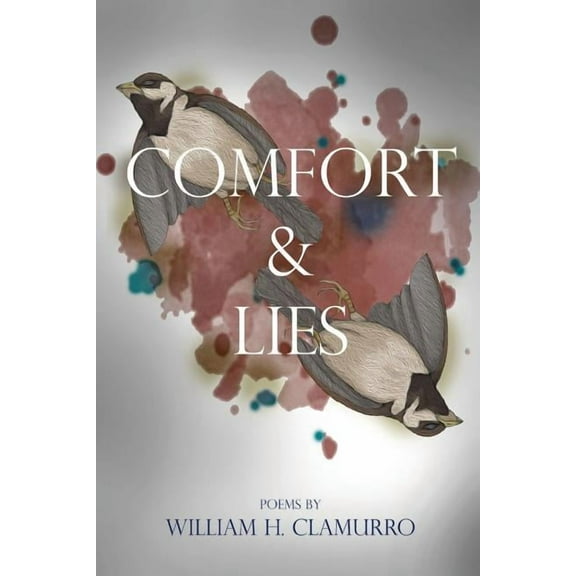 Comfort & Lies (Paperback)