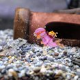 thumbnail image 1 of Greenadscape Morado Para De Peces Natural, 1 of 7