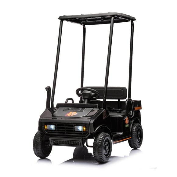 VOLTZ TOYS 24V Mini Golf Pro Ride-On Golf Cart for Kids, Electric Buggy with Remote Control, 3-Speed, LED Lights, Black