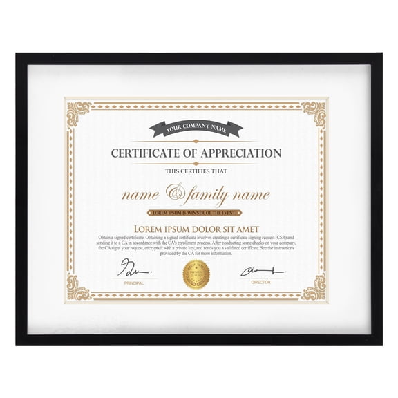 8.5x11 Picture Frames 1 Pack, 11x14 Certificates Frame without Mat and 8.5x11 with Mat, Black