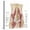 Canvas, variant on Art.com Anatomy of Iliopsoa, also known as the Dorsal Hip Muscles Art Print, 24" x 24"