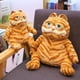 thumbnail image 4 of Regalo de cumpleaños de peluche Garfield de 30 cm -- 30 cm oso de fresa Electrónica, 4 of 5