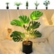 thumbnail image 1 of Luces LED de ramitas - Luz nocturna blanca cálida alimentada por USB • 30 LED • IP44 impermeable • Decoración artificial para plantas de 45-50cm, 1 of 7