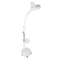 thumbnail image 1 of Luz LED De Protección Para Los Ojos, Lámpara De Pie Con Lupa, Protección Para Los Ojos, Luz , Salón De Belleza Para Niñas, 1 of 7