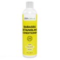 thumbnail image 1 of OBIA Naturals Babassu Detangling Conditioner, 1 of 1