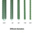 thumbnail image 6 of Ecostake Sturdy Steel Garden Stakes 5-Ft Plastic Coated Plant Stakes, 10Packs for Climbing Plants, 6 of 7