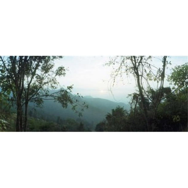 Panoramic Images PPI142851L Arbres sur une Colline Chiang Mai Thaïlande Affiche Imprimée par Panoramic Images - 36 x 12