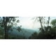 Panoramic Images PPI142851L Arbres sur une Colline Chiang Mai Thaïlande Affiche Imprimée par Panoramic Images - 36 x 12 – image 1 sur 1