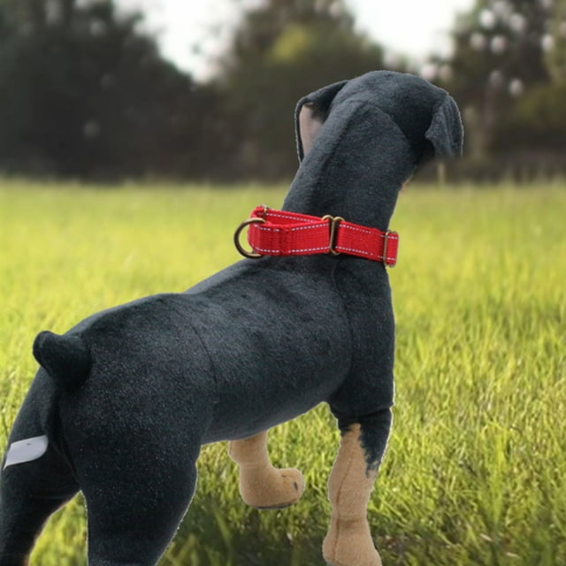 Colliers pour Chiens Sans Boucle, Colliers d'Entraînement Robustes pour Tous les Chiots, Collection Colorée (Bleu Foncé Ajustable 7 17 Pouces Petit)
