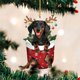 thumbnail image 4 of Trineo Cachorro Navidad Dibujos Animados Dachshund Ornamento Acrílico Fiesta Suministros (F), 4 of 9