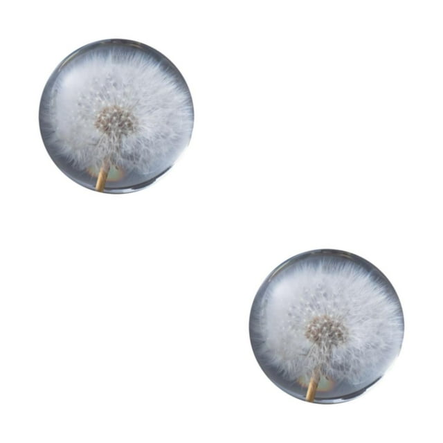 relayinert Boule de Cristal Portable avec Compagnon de Voyage de Fleur pour la Sérénité Cadeau Résine Pissenlits 7cm 2Set