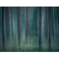 thumbnail image 2 of Lindsten, Christian 14x12 Gold Ornate Wood Framed with Double Matting Museum Art Print Titled - ICM 9, 2 of 4