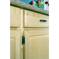 thumbnail image 7 of Amerock Nature's Splendor 3 in (76 mm) Center-to-Center Weathered Brass Cabinet Cup Pull, 7 of 7