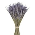 thumbnail image 2 of Dried Lavender Flowers Bundle 22 Inch Dried Flowers Vase Filler Long Lasting Flowers for ase Arrangements Home Decoration Photo Props Parties and Weddings DIY Decor, 2 of 9