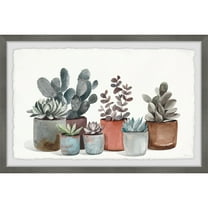 Parvez Taj Succulent Plants Display Framed Painting Print