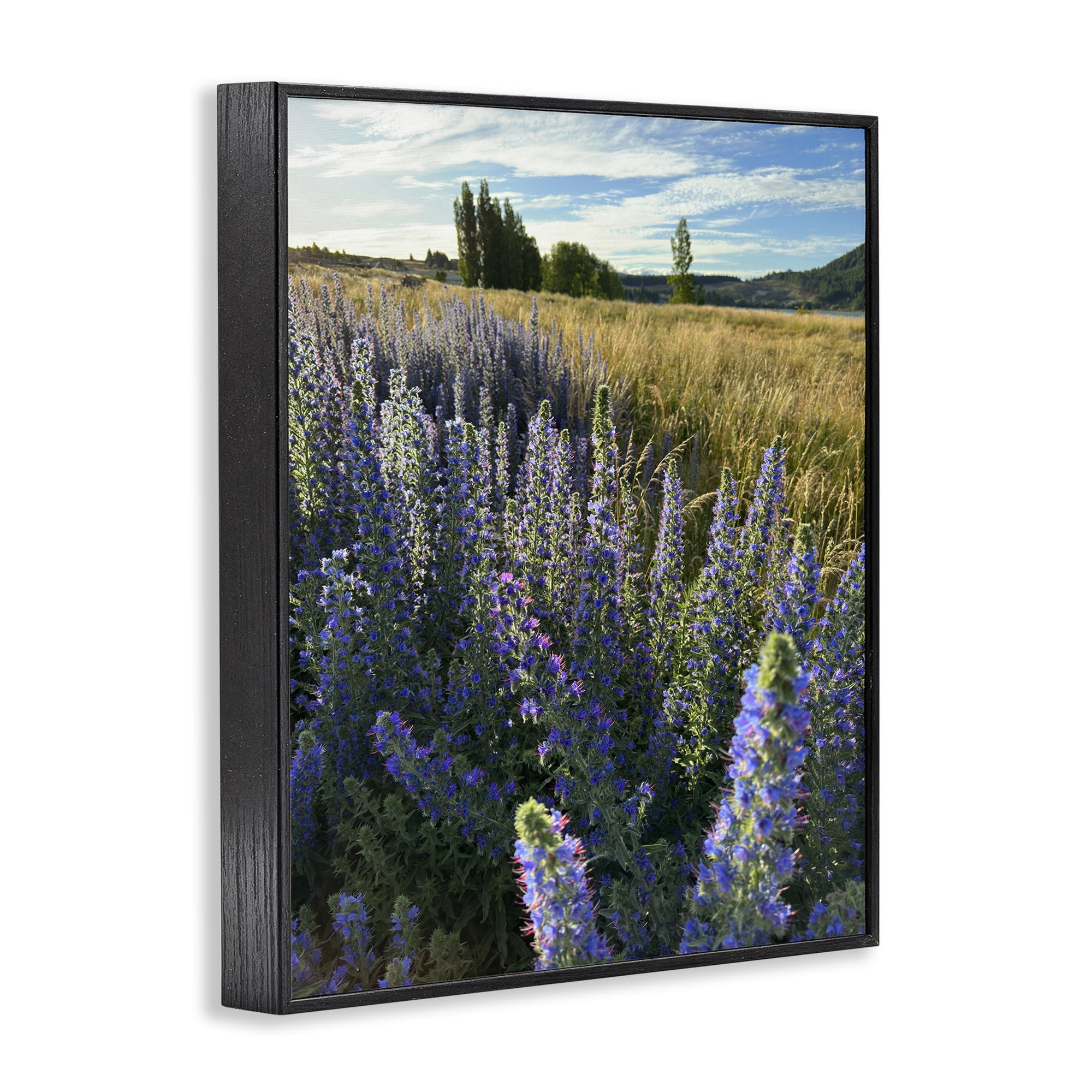 Stupell Industries Lavender Fields Landscape Landscape Photography Black Framed Art Print Wall Art, 11 x 14