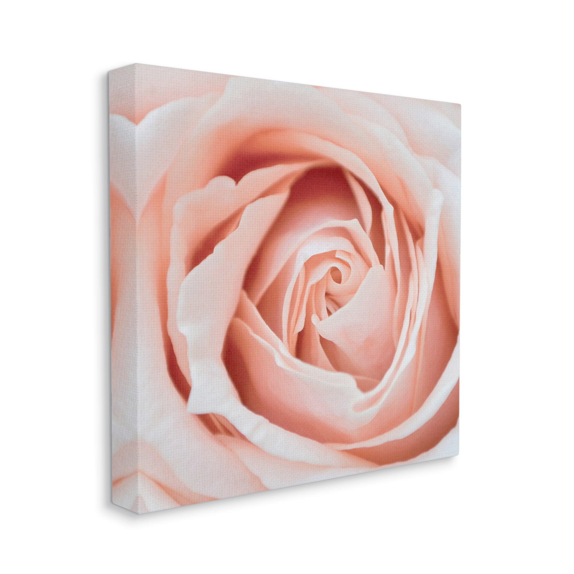 Stupell Industries Pink Close Up Rose Botanical & Floral Photography Gallery Wrapped Canvas Print Wall Art, 30 x 30