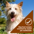 thumbnail image 6 of Nature's Recipe Savory Broth Grain Free Wet Dog Food Variety Pack, 2.75 oz Cups (12 Pack), 6 of 13