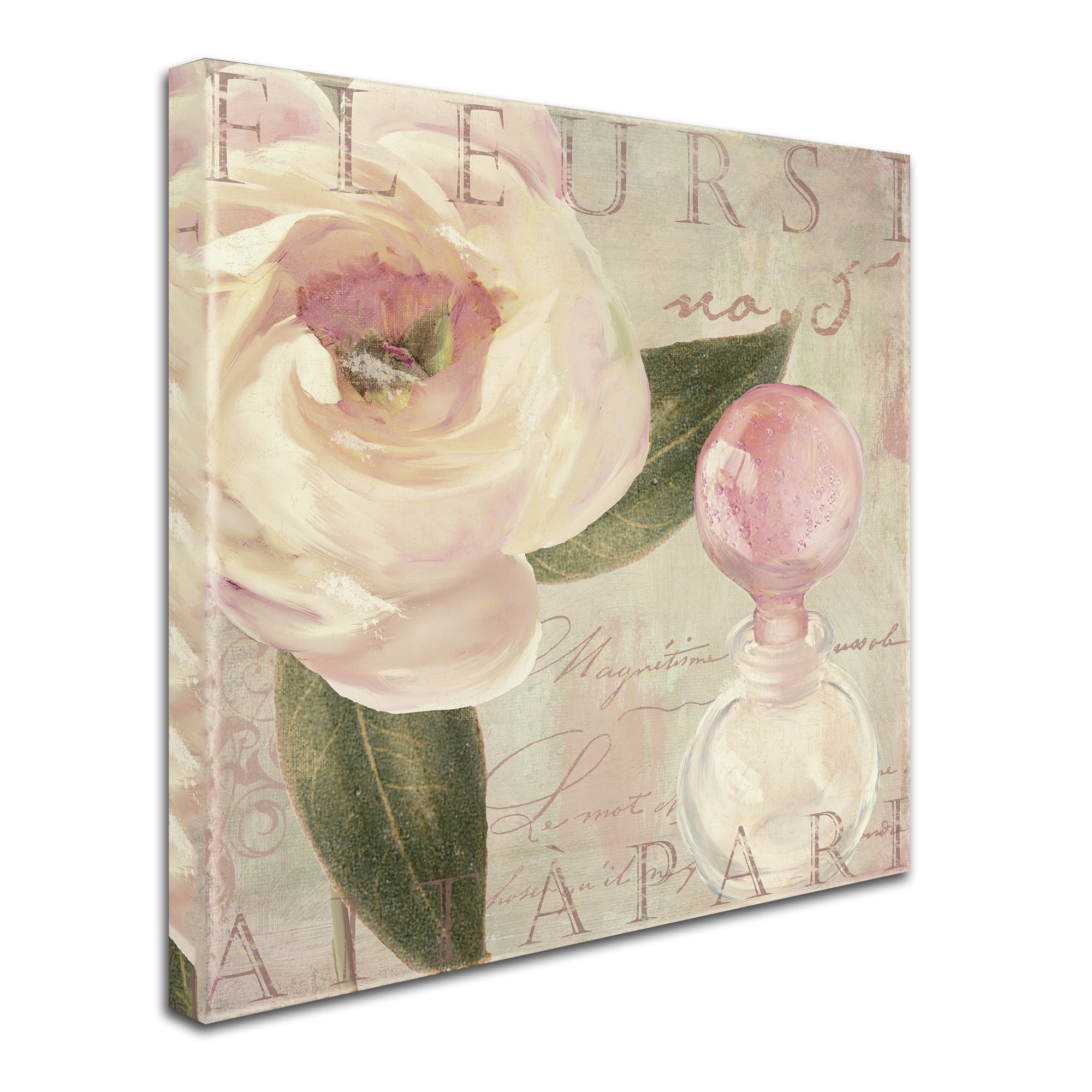 Trademark Fine Art "Parfum de Roses II" Canvas Art by Color Bakery