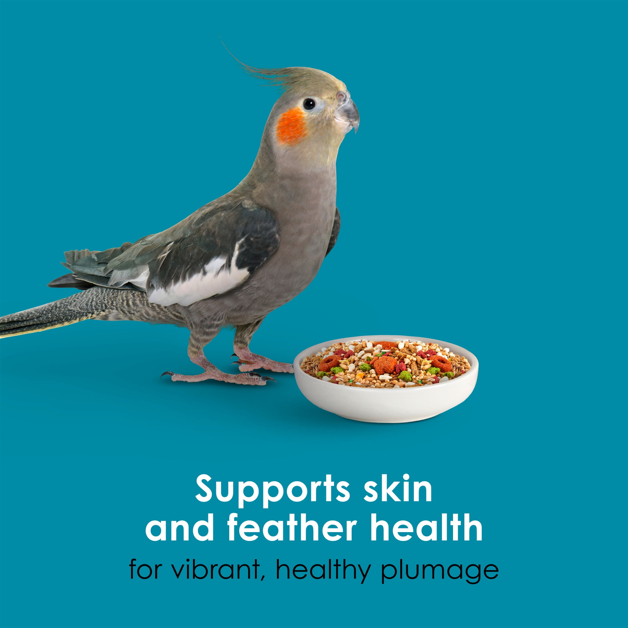 Kaytee Forti-Diet Pro Health + Safflower Nourish+Protect Cockatiel Food 4 Pounds