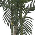 thumbnail image 2 of 6 1/2' Golden Cane Silk Palm Tree, 2 of 6