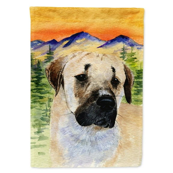 Caroline's Treasures SS8197-FLAG-PARENT Anatolian Shepherd Flag, , multicolor