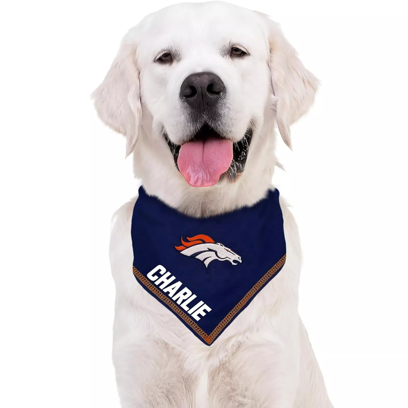 Pets First NFL Personalized Tie Bandana for Dogs & Cats Customizable Dog Bandana