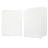 Set De 10 Pinceaux Darice Studio 71 En Nylon Blanc - Pour Acrylique, Huile Et Aquarelle