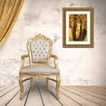 thumbnail image 3 of Putman, Tammy 17x24 Gold Ornate Wood Framed with Double Matting Museum Art Print Titled - Fall Maple, 3 of 4