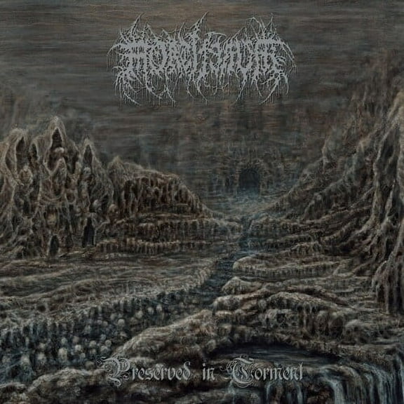 Mortiferum - Preserved In Torment - Music & Performance - Vinyl