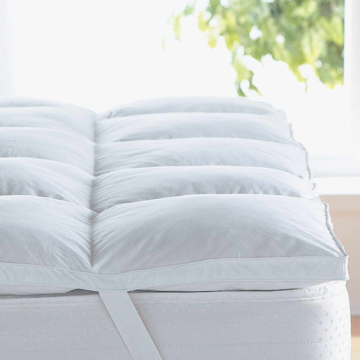 Home Sweet Home Dreams Home Sweet Home 2 Inch Mattress Topper And Mattress Pad Hypo Allergenic Down Alternative 1000 Grams Filling Other Twin