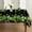Noir, variante sur Nappe de la Saint-Patrick 60x120 Pouces, Trèfle Shamrock Chapeau Blanc Lavable Housse de Table pour Fête Pique-Nique Décoration de Souper