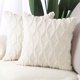thumbnail image 2 of Paquete de 2 fundas de almohada decorativas de terciopelo de lana corta de felpa suave funda de cojín de estilo lujoso funda de almohada para sofá dormitorio cuadrado Namotu CZJJ-ZC19-11, 2 of 7
