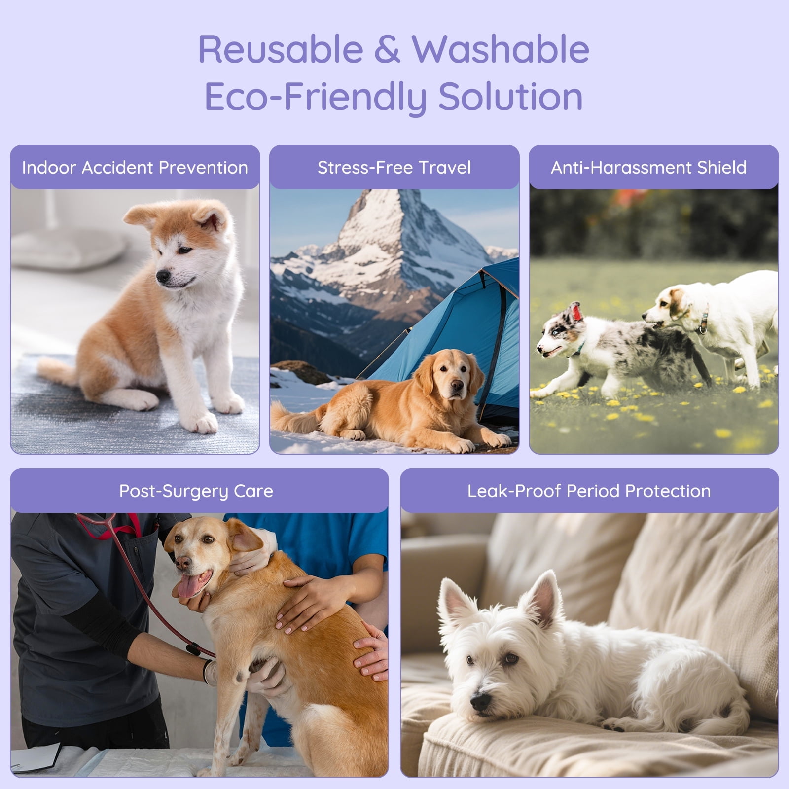 Bella & Pal × PJai & Friends Female Dog Diapers, 3-Pack, Highly Absorbent Washable Diapers for Small Dogs, Leak-Proof Puppy Diapers, M