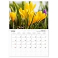 thumbnail image 6 of Floral Delight (Monthly Wall Calendar 2026 16.5 x 23.4 (open)), CALVENDO 14 Month Calendar, 6 of 9