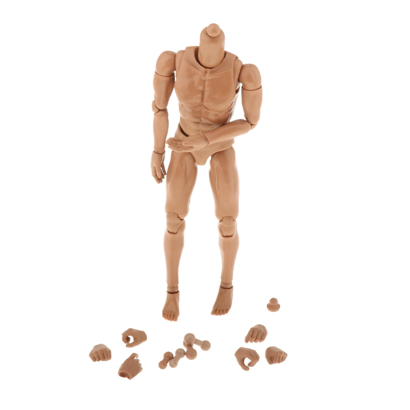 1:6 Scale Action Figure Model Nude Male Body 