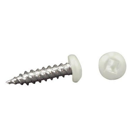 

AP Products 012-PSQ50 W 8 X 1 Pan Head Square Recess Screw Pack of 50 - 1 White