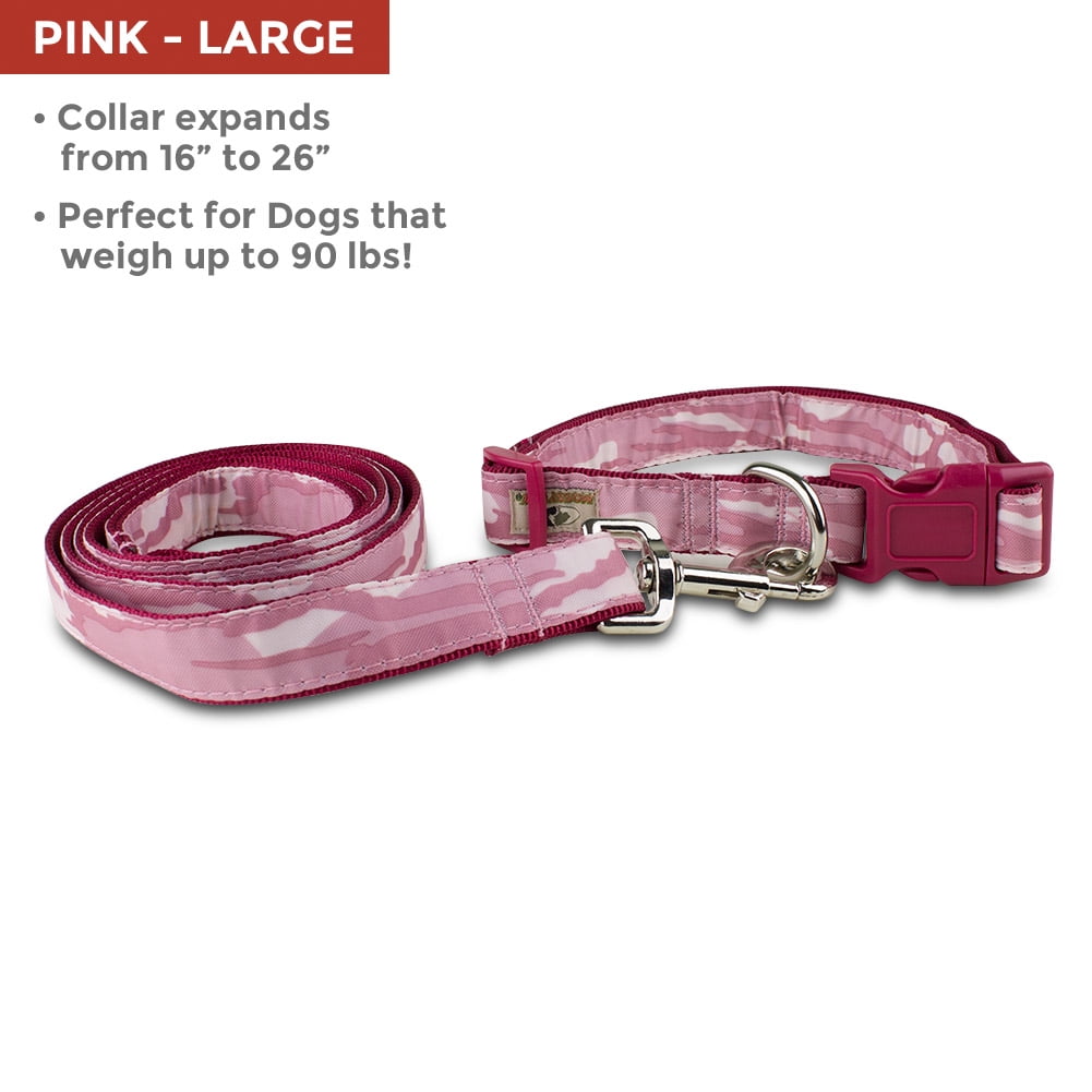 pink collar and lead