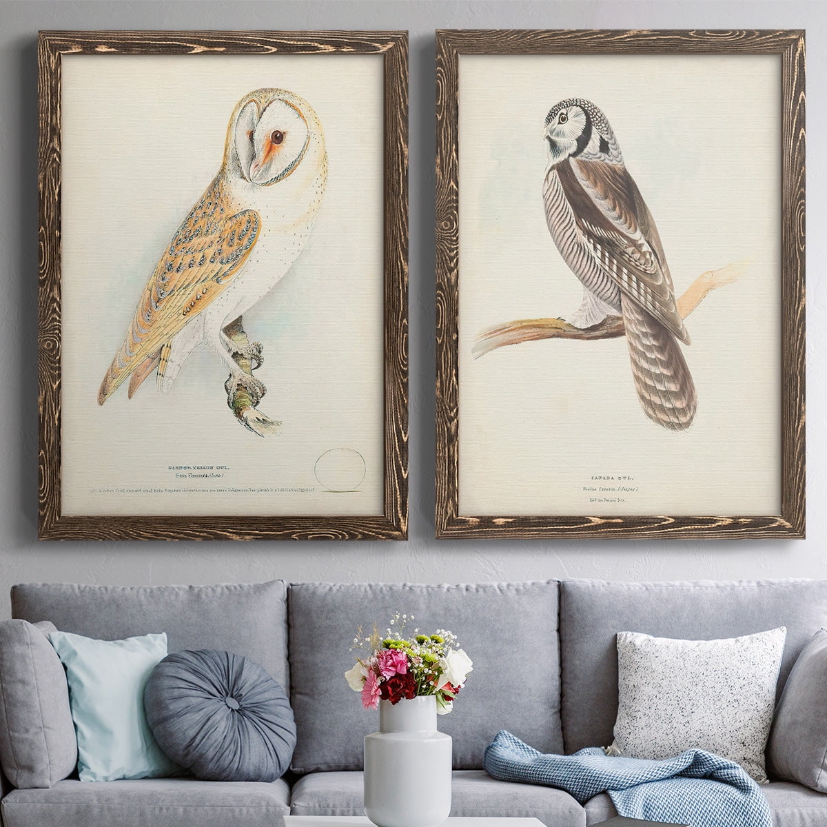 Barn Owl - Premium Framed Canvas 2 Piece Set - Ready to Hang