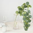 thumbnail image 5 of Balsa Circle 3 Green 41" Silk Eucalyptus Leaves Hanging Artificial Plant Stems Party Events Decorations, 5 of 7