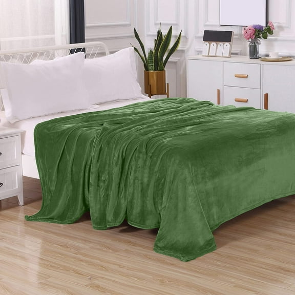 Elegant Comfort Fleece Blanket, Ultra Soft Plush Flannel, Lightweight All-Season Throw, Cozy Microfiber Bed Blanket, Solid Design Full/Queen, Green