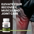 thumbnail image 4 of JungKwanJang Muscle Support Supplement for Stress and Joint Health with American Ginseng & Tart Cherry, 60 ct, 4 of 5