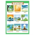 thumbnail image 3 of 2 Pcs Poster Y Naturaleza Niños Bebé Aprendiendo Póster Carteles Educativos, 3 of 9